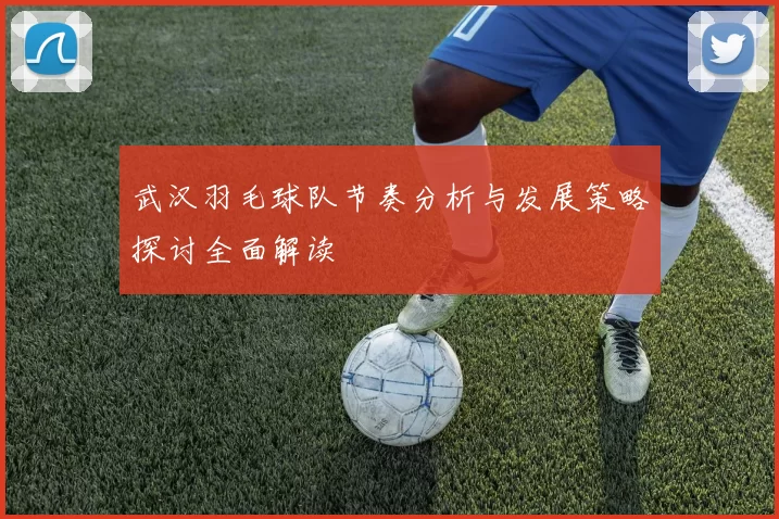 武汉羽毛球队节奏分析与发展策略探讨全面解读