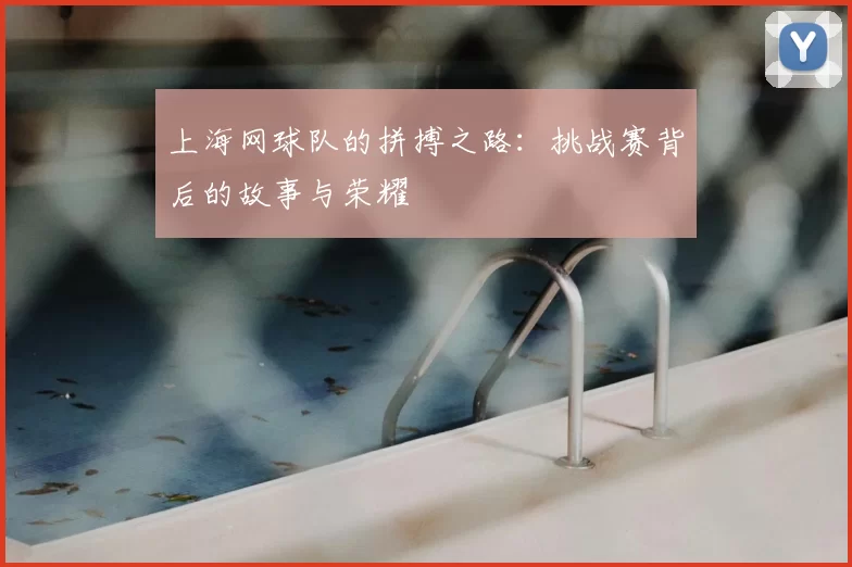 上海网球队的拼搏之路：挑战赛背后的故事与荣耀