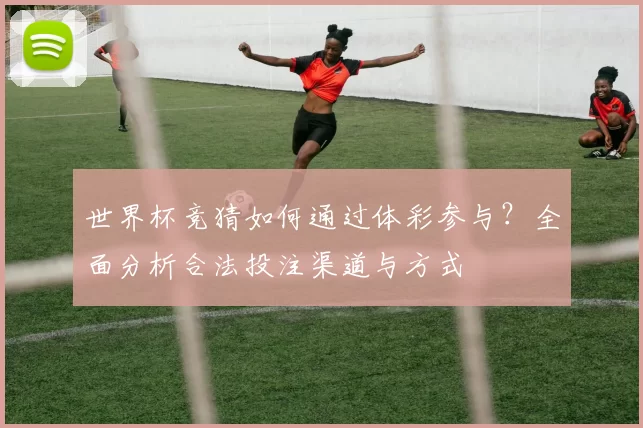 世界杯竞猜如何通过体彩参与？全面分析合法投注渠道与方式