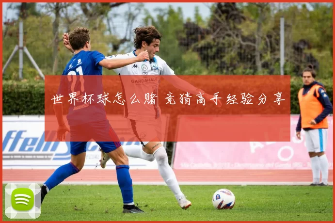 世界杯球怎么赌 竞猜高手经验分享