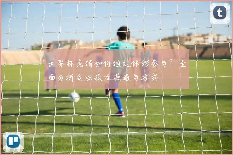 世界杯竞猜如何通过体彩参与？全面分析合法投注渠道与方式