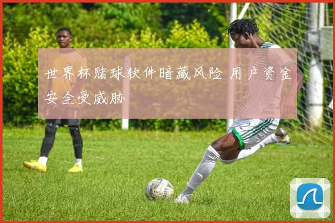 世界杯赌球软件暗藏风险 用户资金安全受威胁