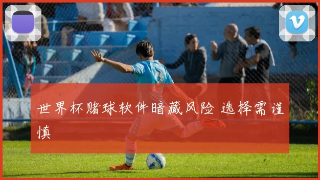 世界杯赌球软件暗藏风险 选择需谨慎
