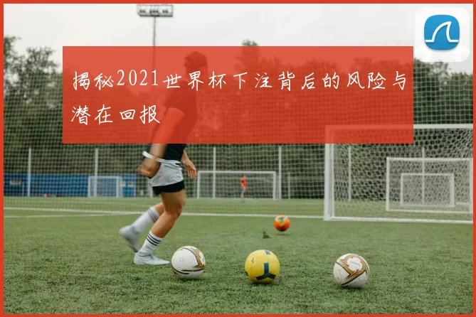 揭秘2021世界杯下注背后的风险与潜在回报