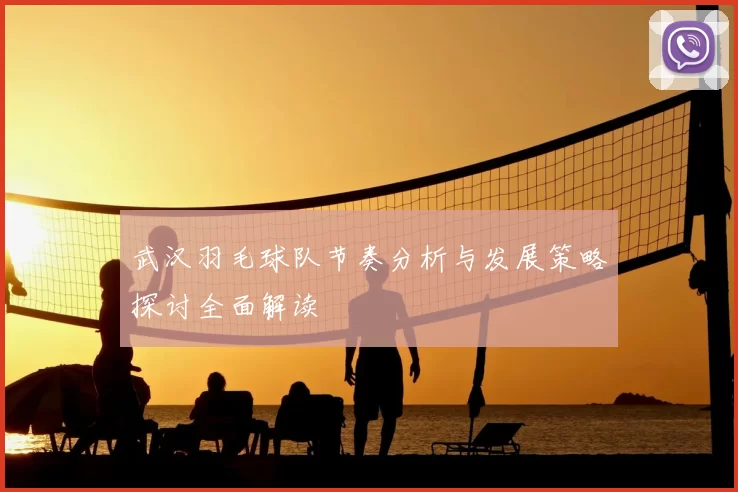武汉羽毛球队节奏分析与发展策略探讨全面解读