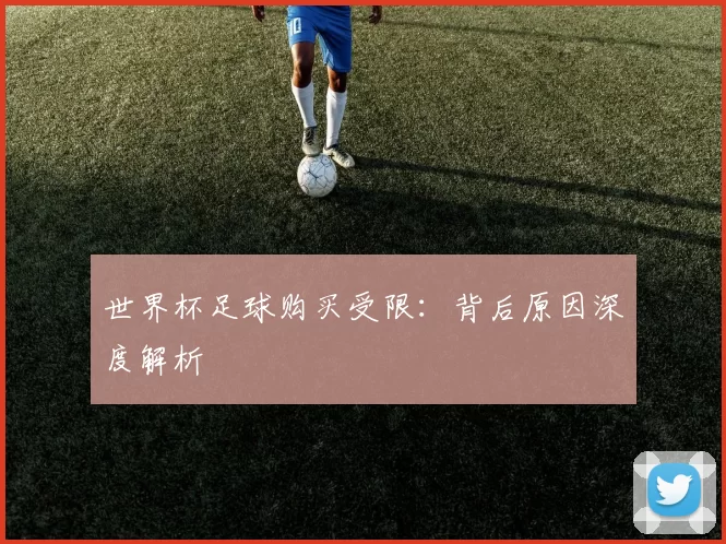 世界杯足球购买受限：背后原因深度解析