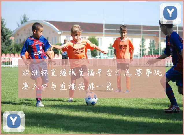 欧洲杯直播线直播平台汇总 赛事观赛入口与直播安排一览